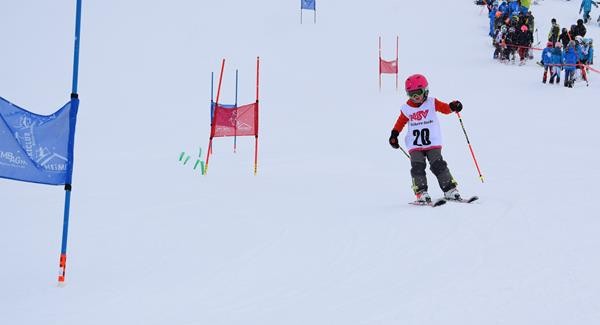 Normal x DSC 0832 (2)